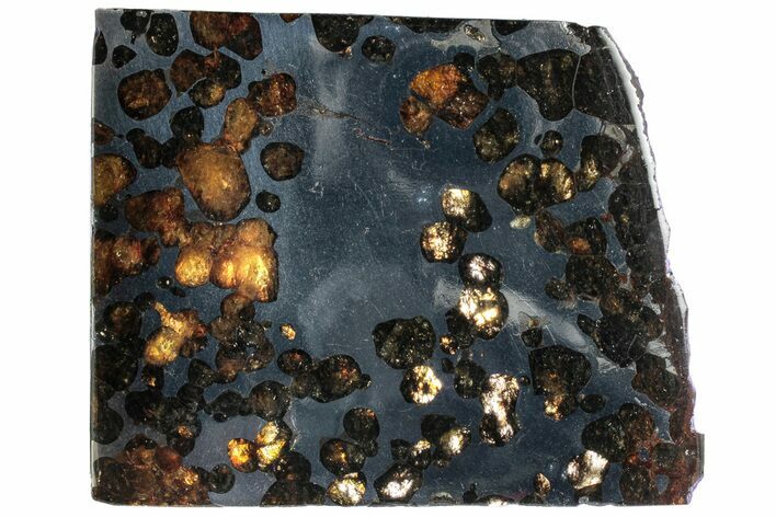 Polished Sericho Pallasite Meteorite ( g) Slice - Kenya #313673